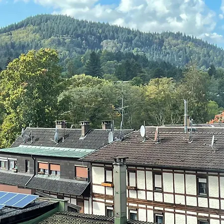 Apartmán Black Forest Baden-Baden