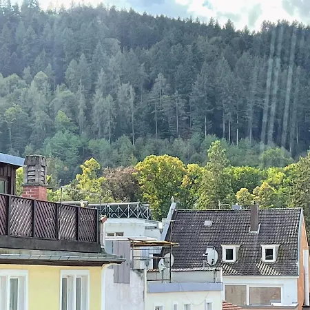 Black Forest Apartament *