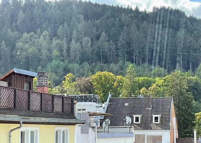 Black Forest Apartment *